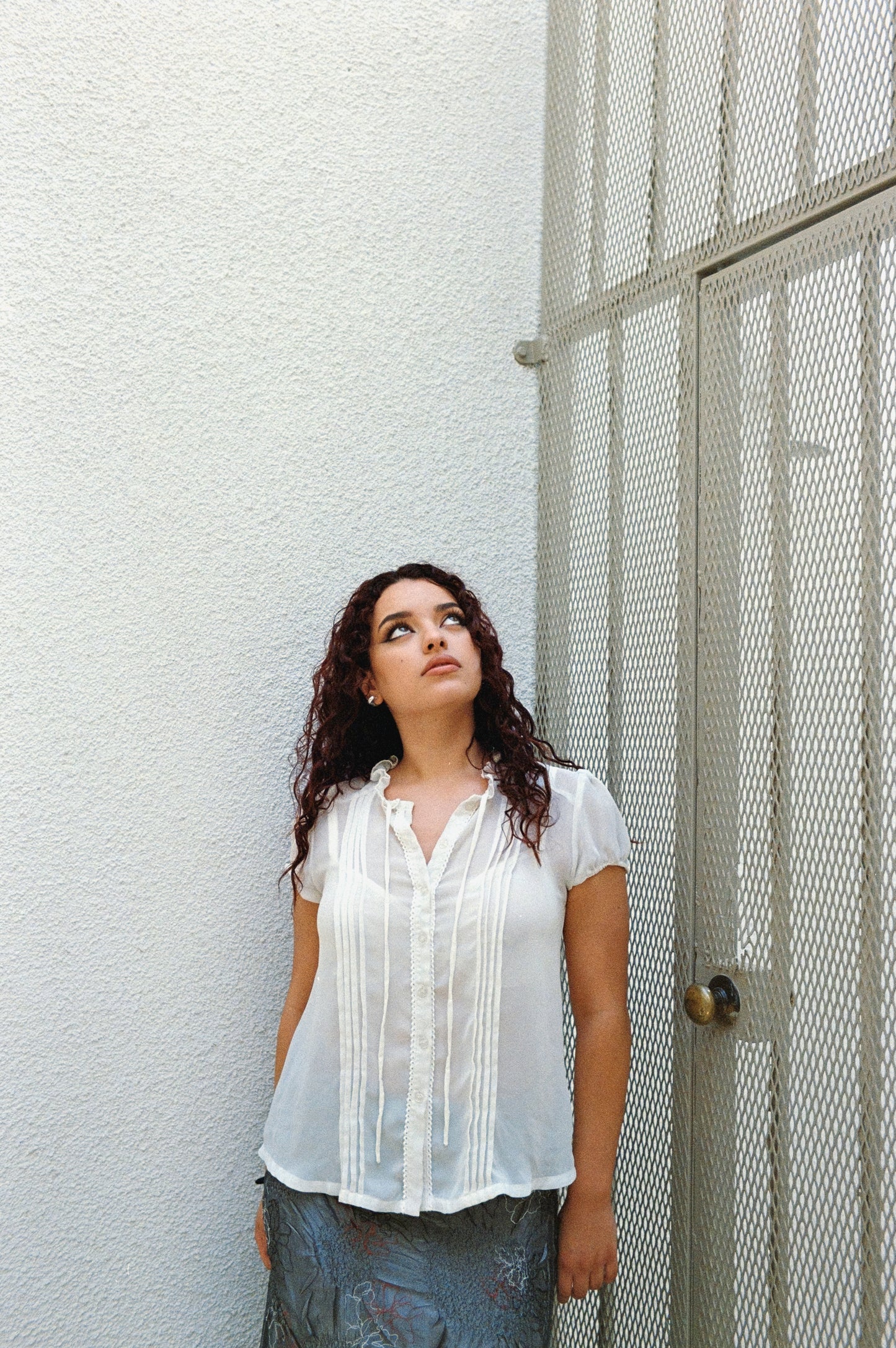 Vintage Sheer Blouse